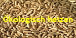 �kologisch heizen